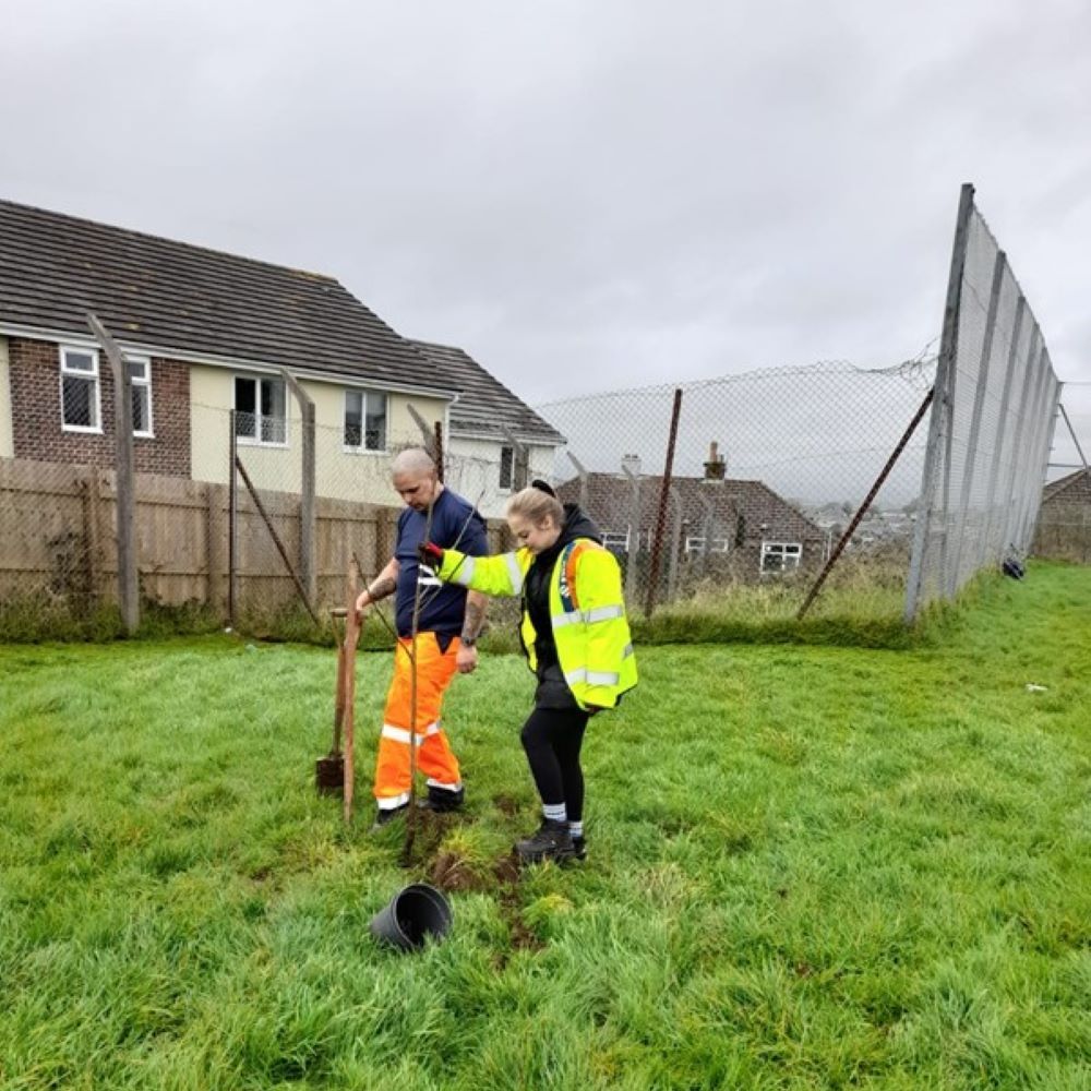 Ringway Plymouth use SOMAD days to get out of the office and into the mud with Plymouth and South Devon Community Forest!